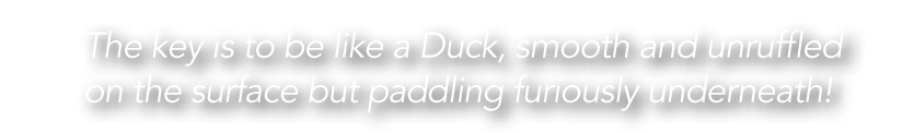 "The key is to be like a Duck, smooth and unruffled<br/>on the surface but paddling furiosly underneath!"